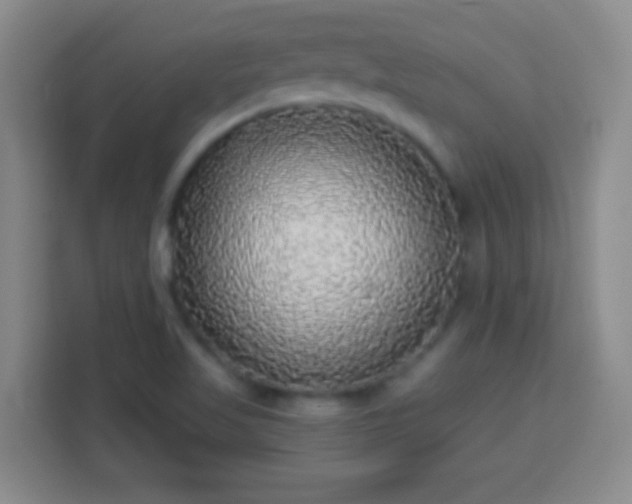 X0000113961509200910021515