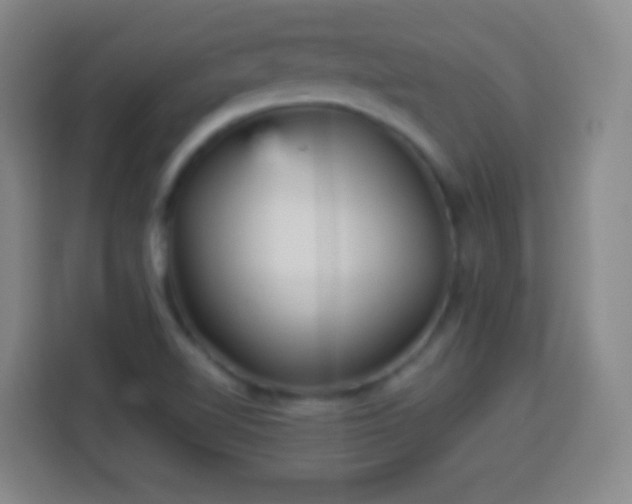 X0000113961510200910021515