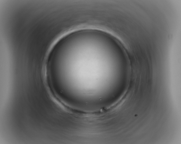 X0000113961511200910021515