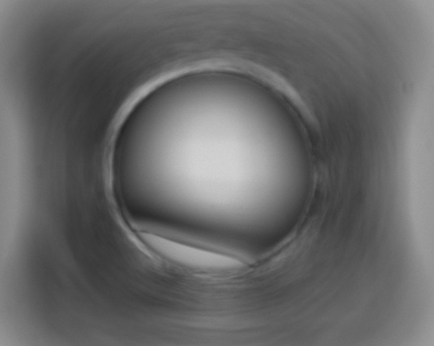 X0000113961512200910021515