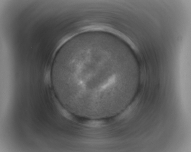 X0000113961513200910021515