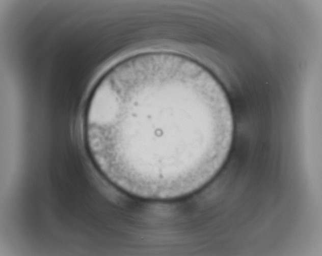 X0000113961514200910021515