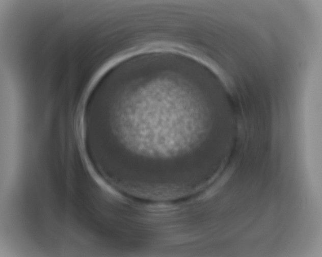 X0000113961515200910021515