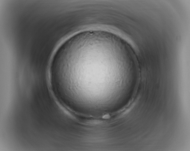 X0000113961517200910021515