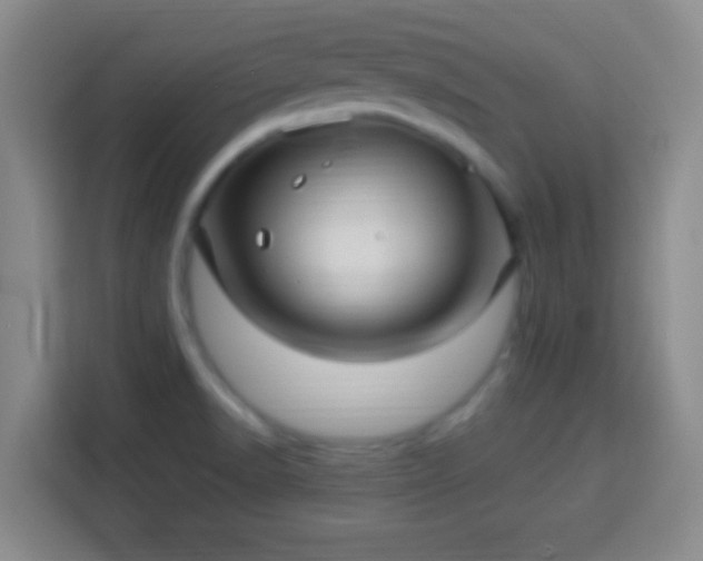 X0000113961518200910021515