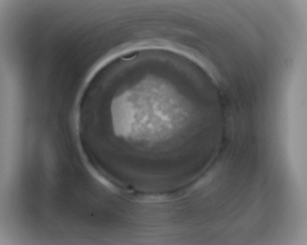 X0000113961519200910021515