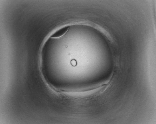 X0000113961520200910021515