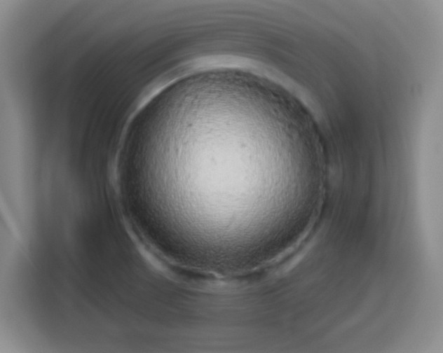 X0000113961521200910021515