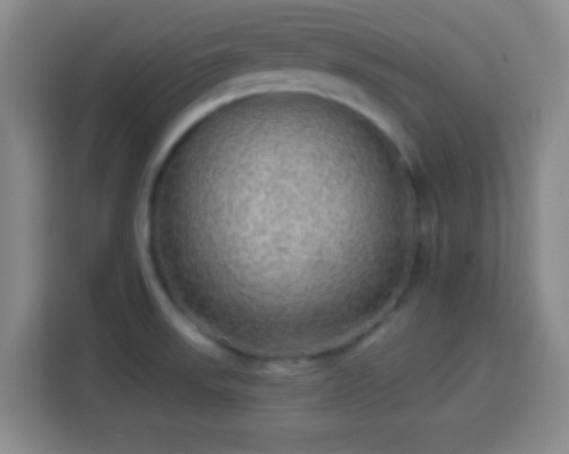 X0000113961523200910021515