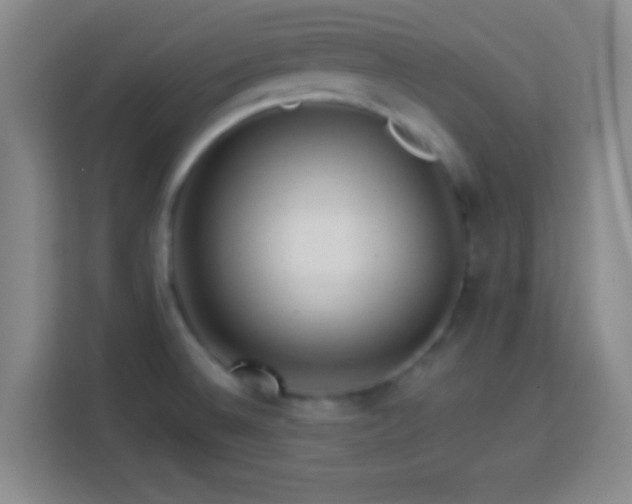 X0000113961524200910021515