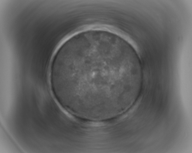 X0000113961525200910021515