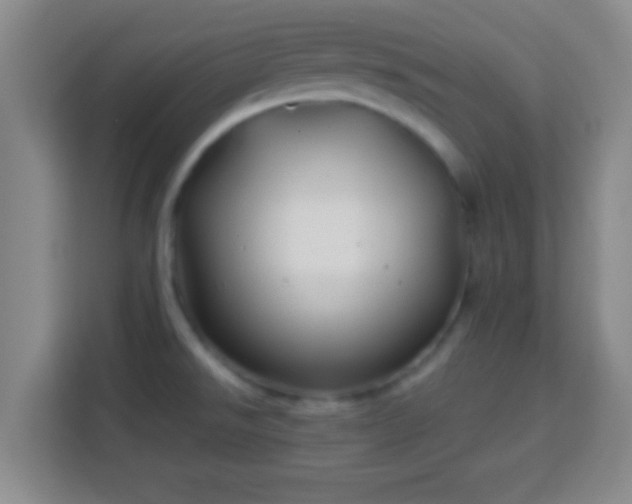 X0000113961526200910021515