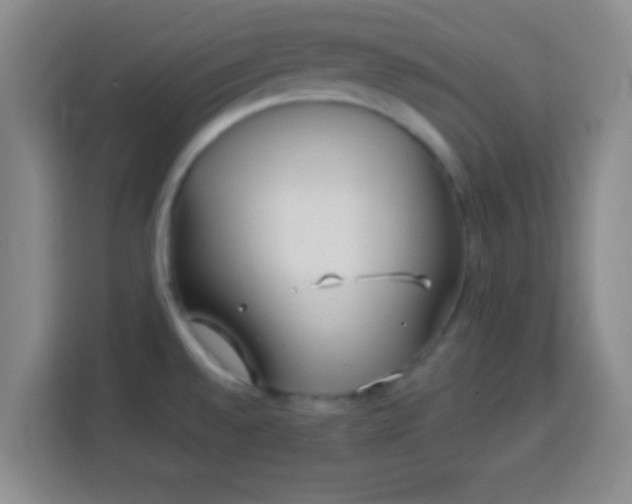 X0000113961528200910021515