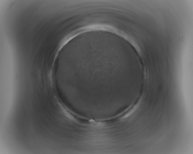 X0000113961529200910021515