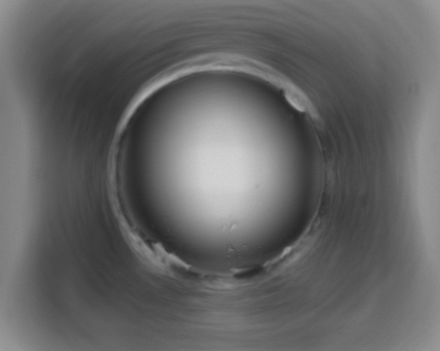 X0000113961530200910021515