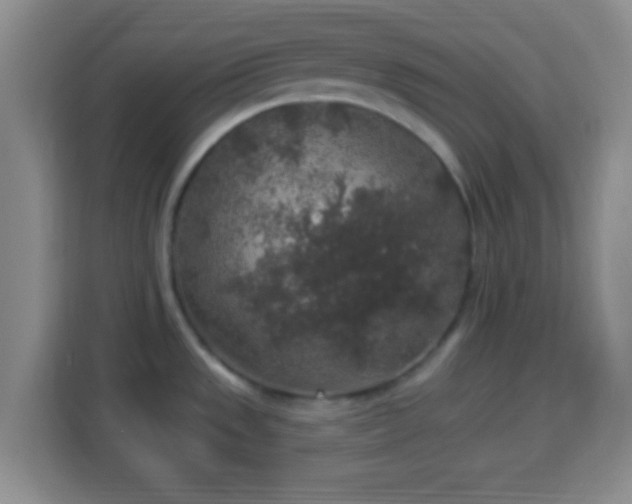 X0000113961533200910021515