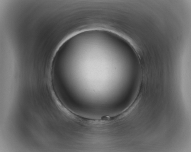 X0000113961534200910021516