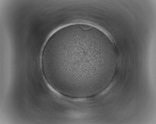 X0000113961535200910021516