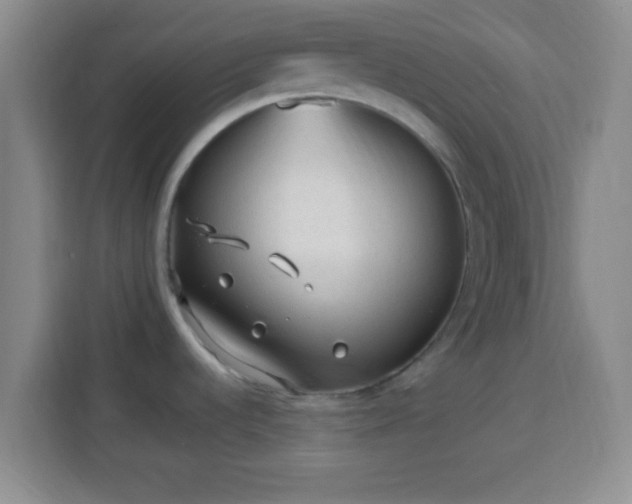 X0000113961536200910021516