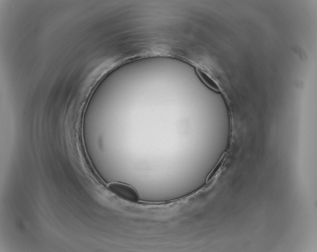 X0000113960001200910091638