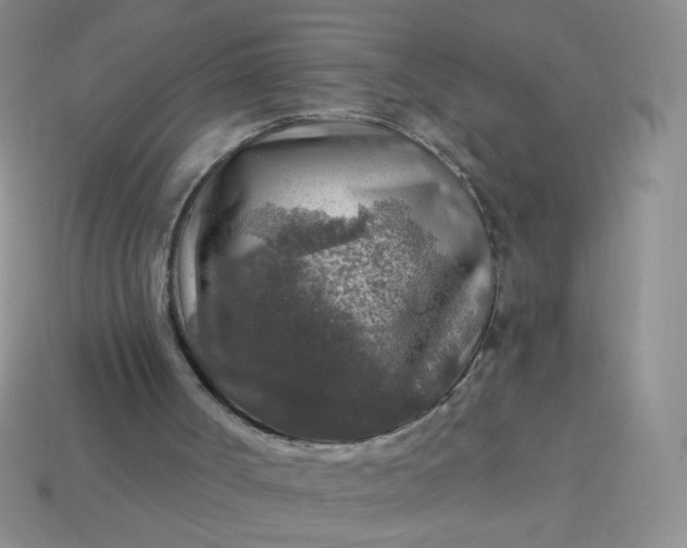 X0000113960002200910091638