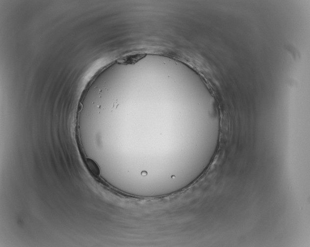 X0000113960003200910091638