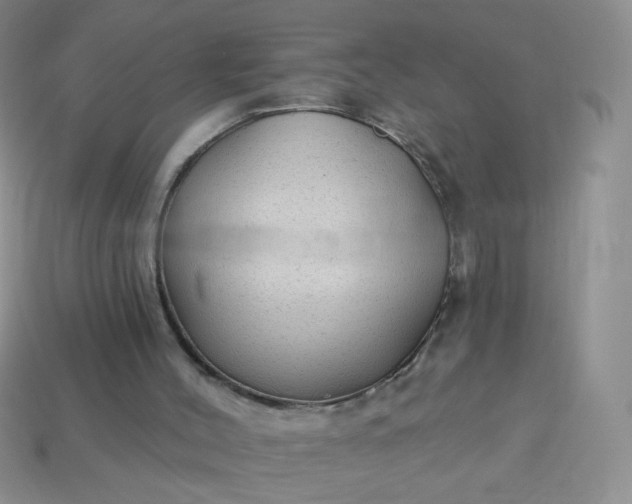 X0000113960004200910091638