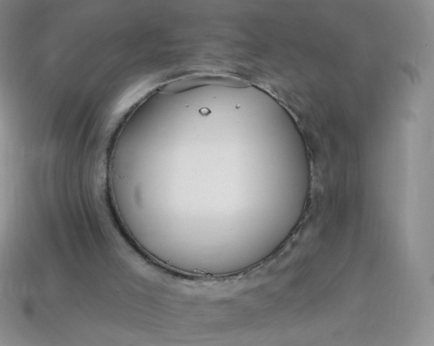 X0000113960005200910091638