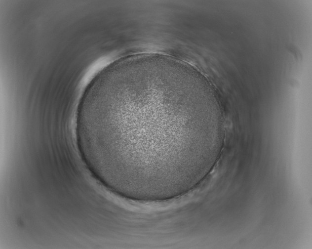 X0000113960006200910091638