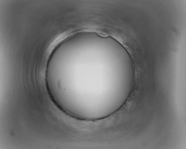 X0000113960007200910091638