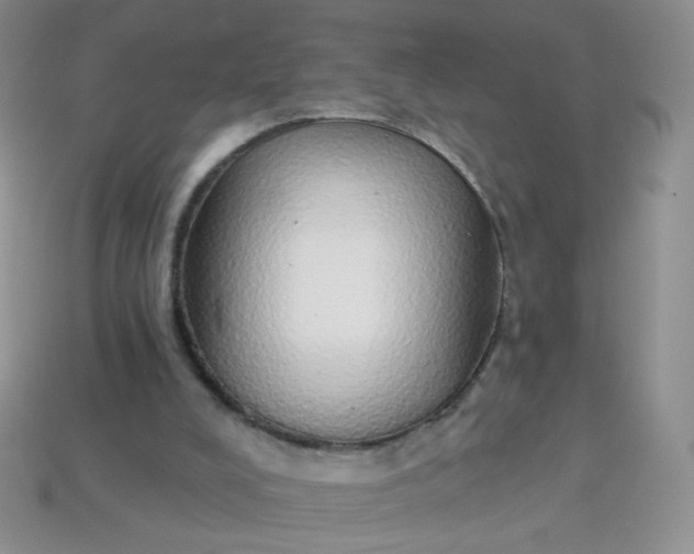 X0000113960008200910091638