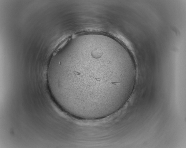 X0000113960009200910091638