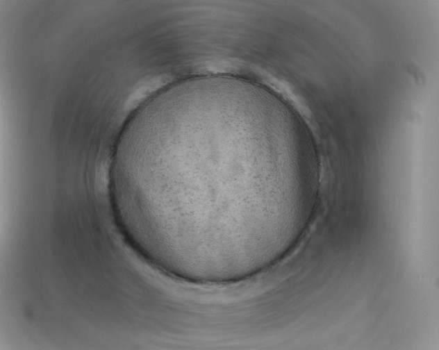 X0000113960010200910091638