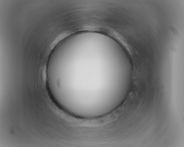 X0000113960011200910091638