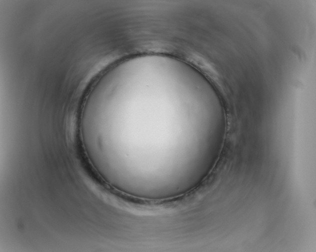 X0000113960012200910091638