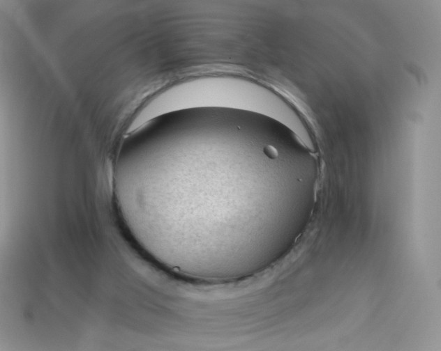 X0000113960013200910091638