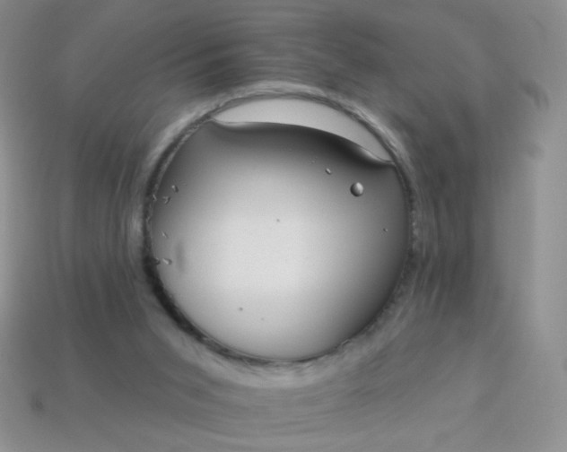 X0000113960015200910091638