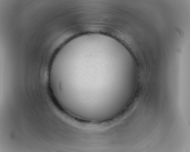 X0000113960016200910091638