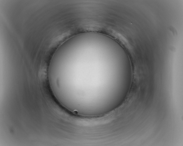 X0000113960017200910091638