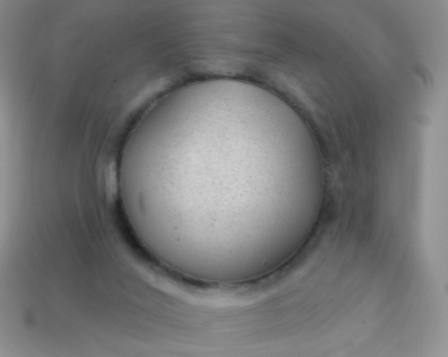 X0000113960020200910091638