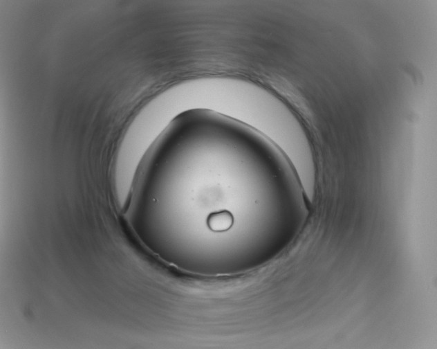 X0000113960021200910091638