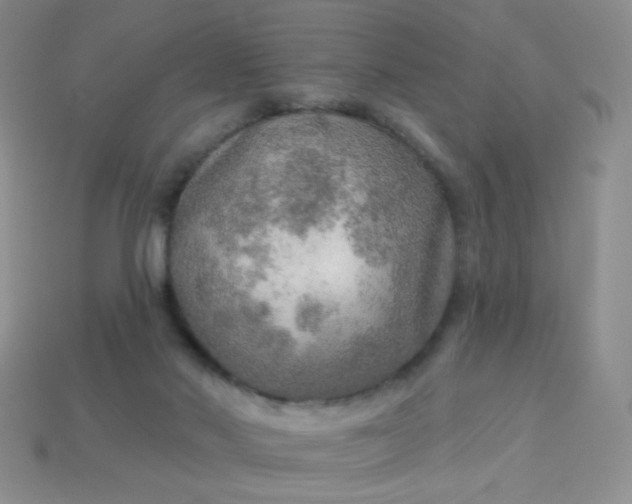 X0000113960022200910091638