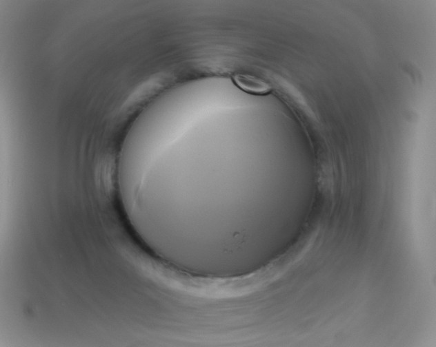 X0000113960023200910091638