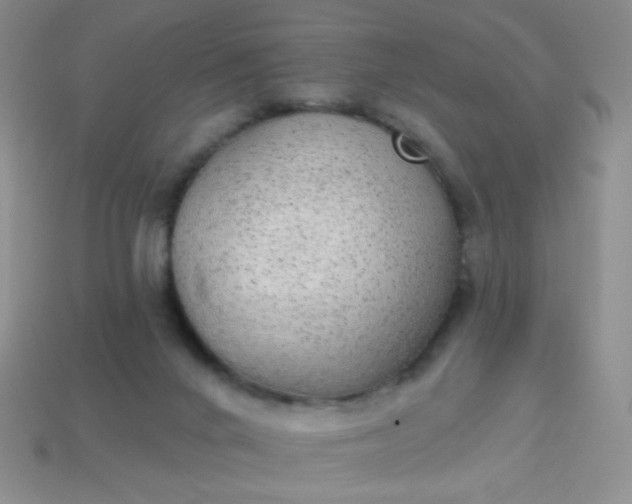 X0000113960024200910091638