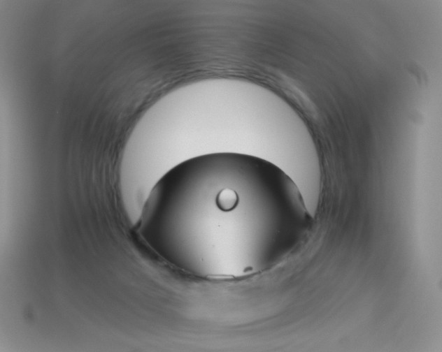 X0000113960025200910091638