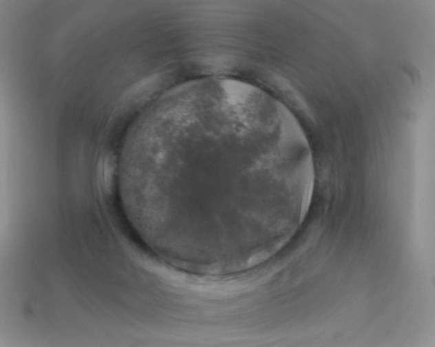 X0000113960026200910091638