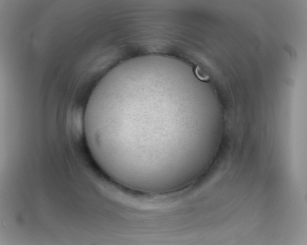 X0000113960028200910091638