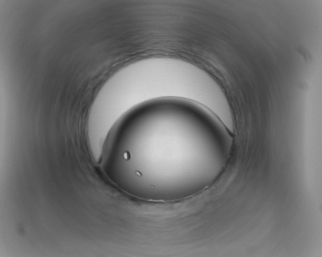 X0000113960029200910091638