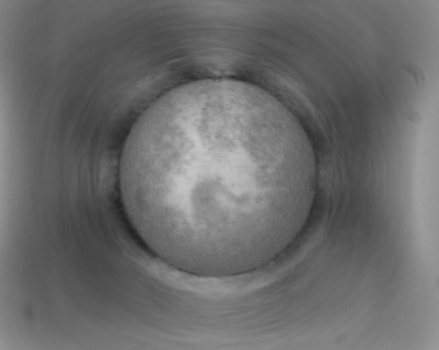 X0000113960030200910091638