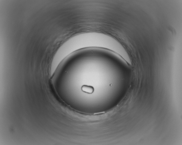 X0000113960031200910091638